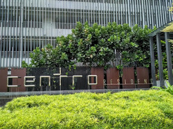 Centro Residences (D20), Condominium #519125451